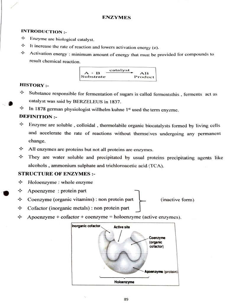 Understanding Enzymes: Types and Functions | PDF | Enzyme Inhibitor ...
