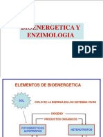 Bioenergetica y Enzimologia