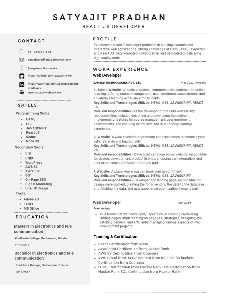 Web Developer Profile: React & SEO Skills | PDF | Websites | Java Script