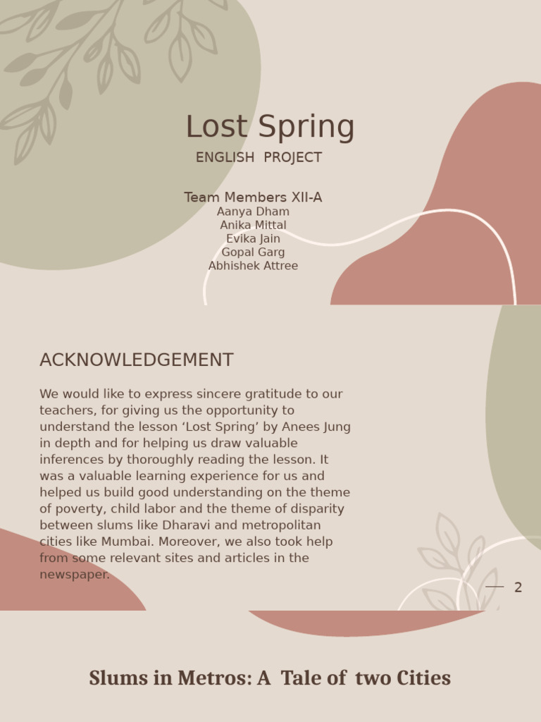 Understanding Lost Spring's Impact | PDF | Slum | Poverty