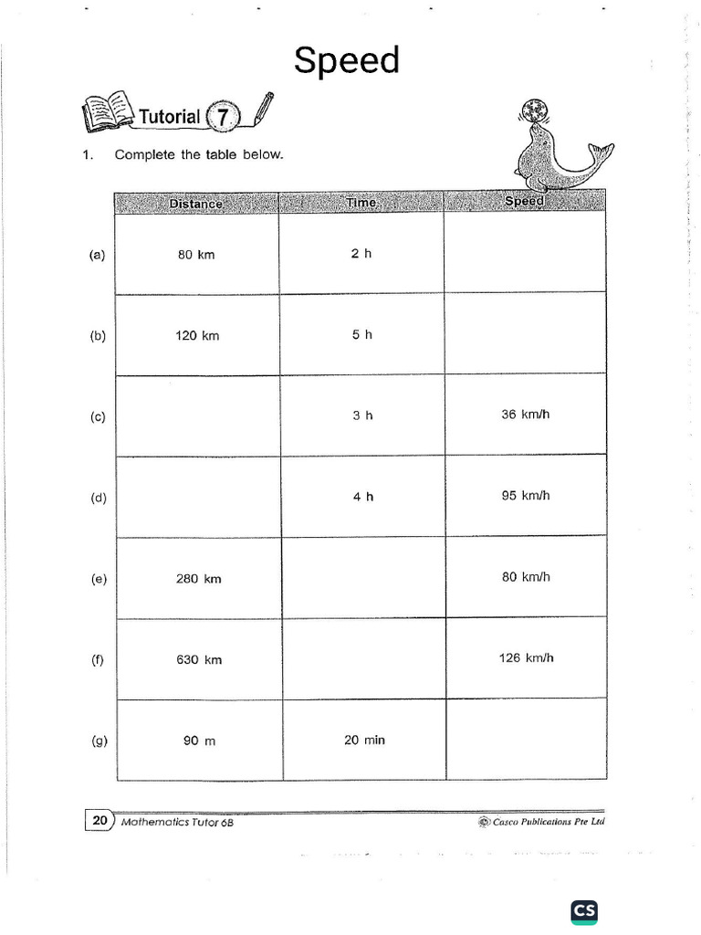 P6 Speed | PDF