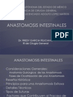 Anastomosis Ales y As