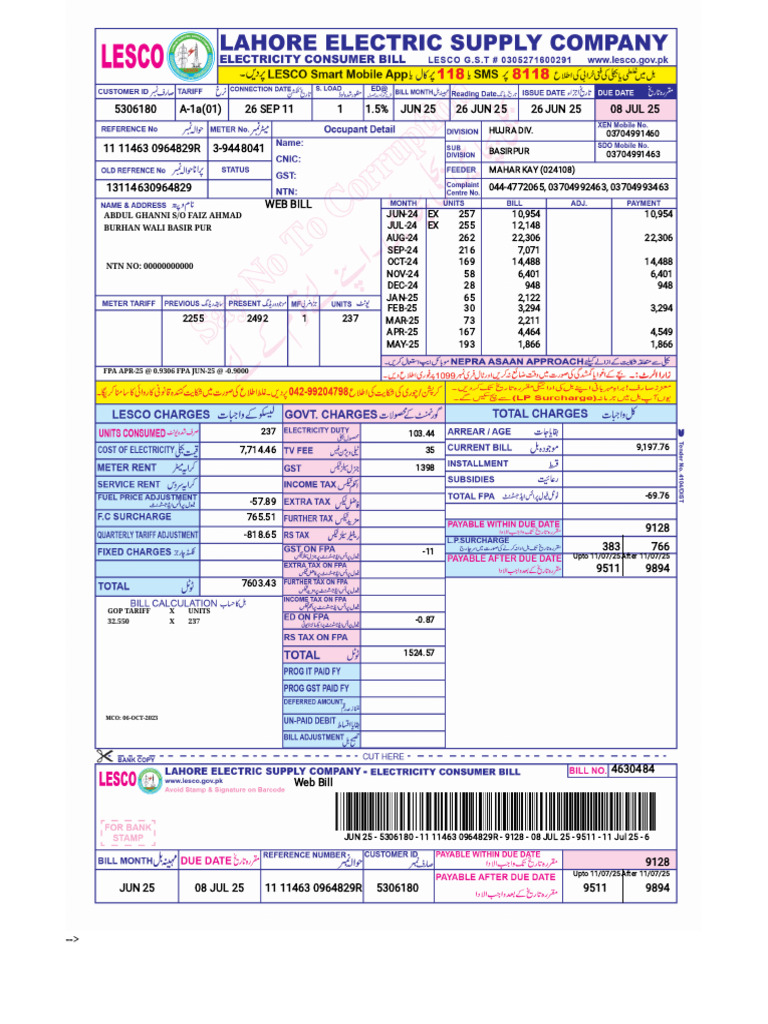 Web Bill Summary for June 2025 | PDF