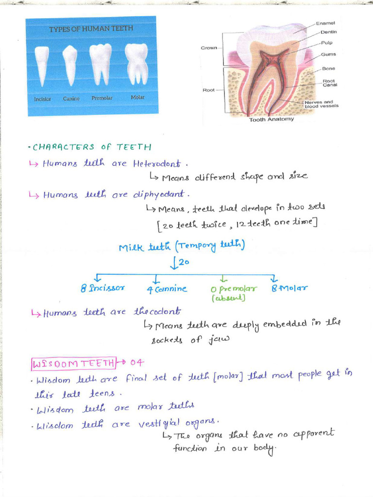 Biology Notes Part-2 | PDF