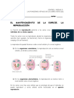 EVALUACION SERES VIVOS2