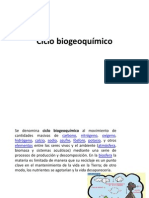 Ciclo Biogeoquímico