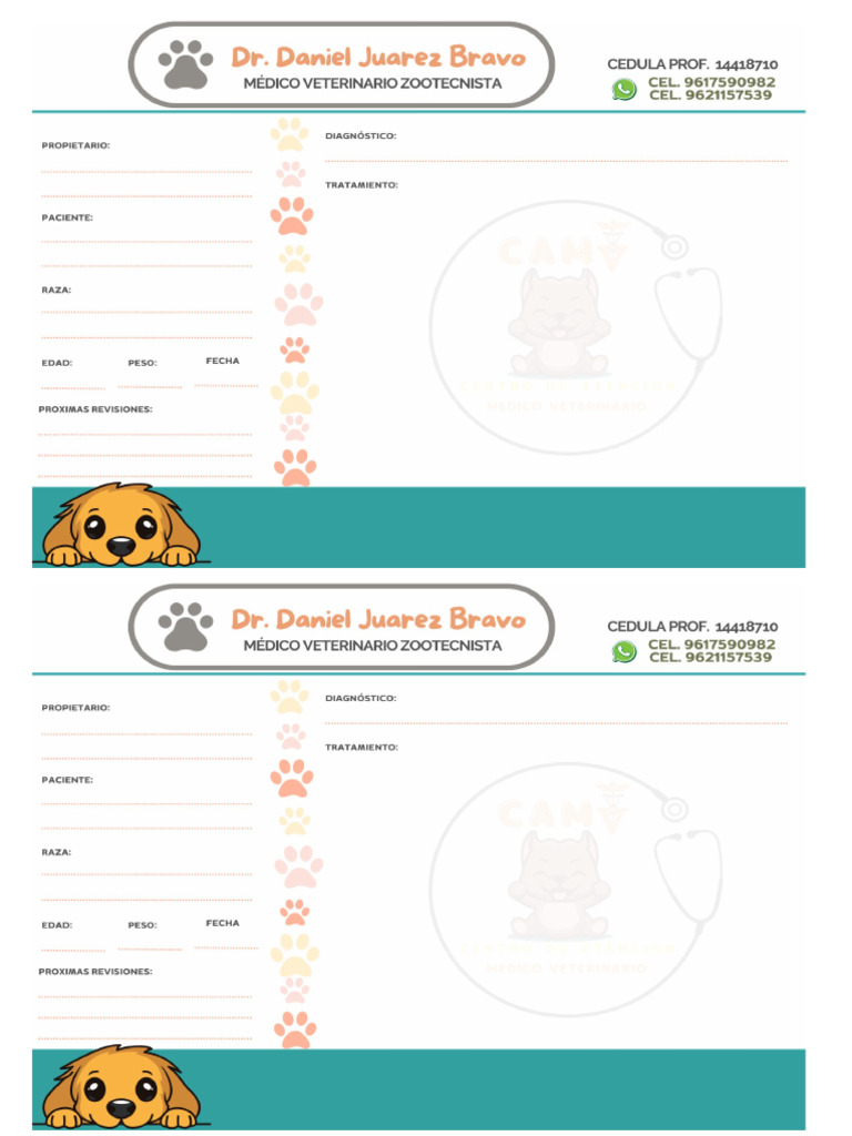 receta-veterinaria-pdf