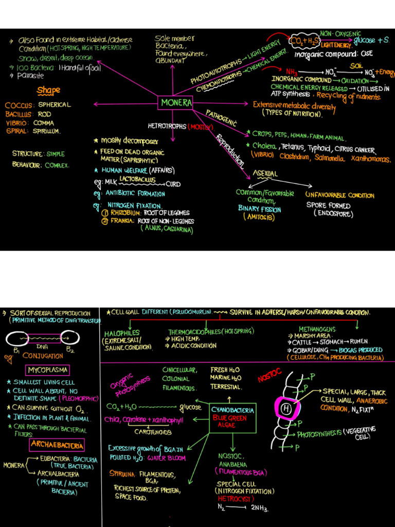 Biological Classification | PDF