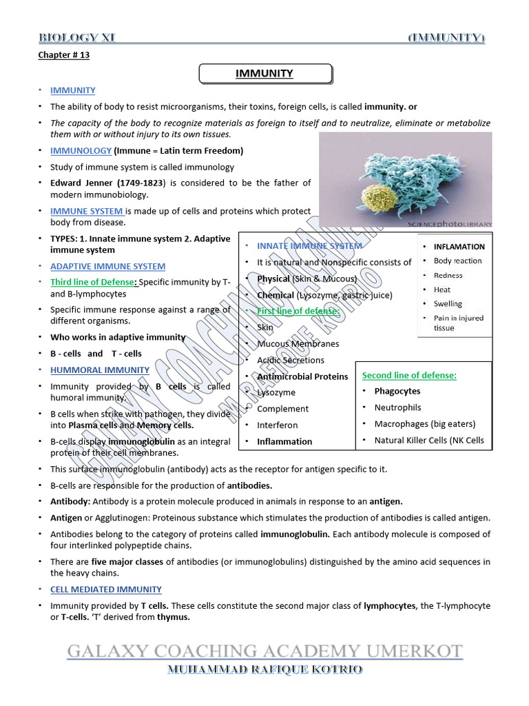 Understanding Immunity and Its Types | PDF | Immune System | Innate ...
