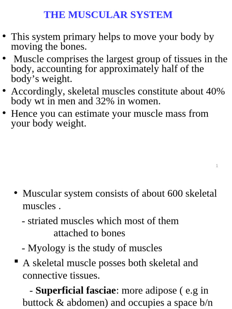 Overview of the Muscular System | PDF | Human Leg | Skeletal Muscle