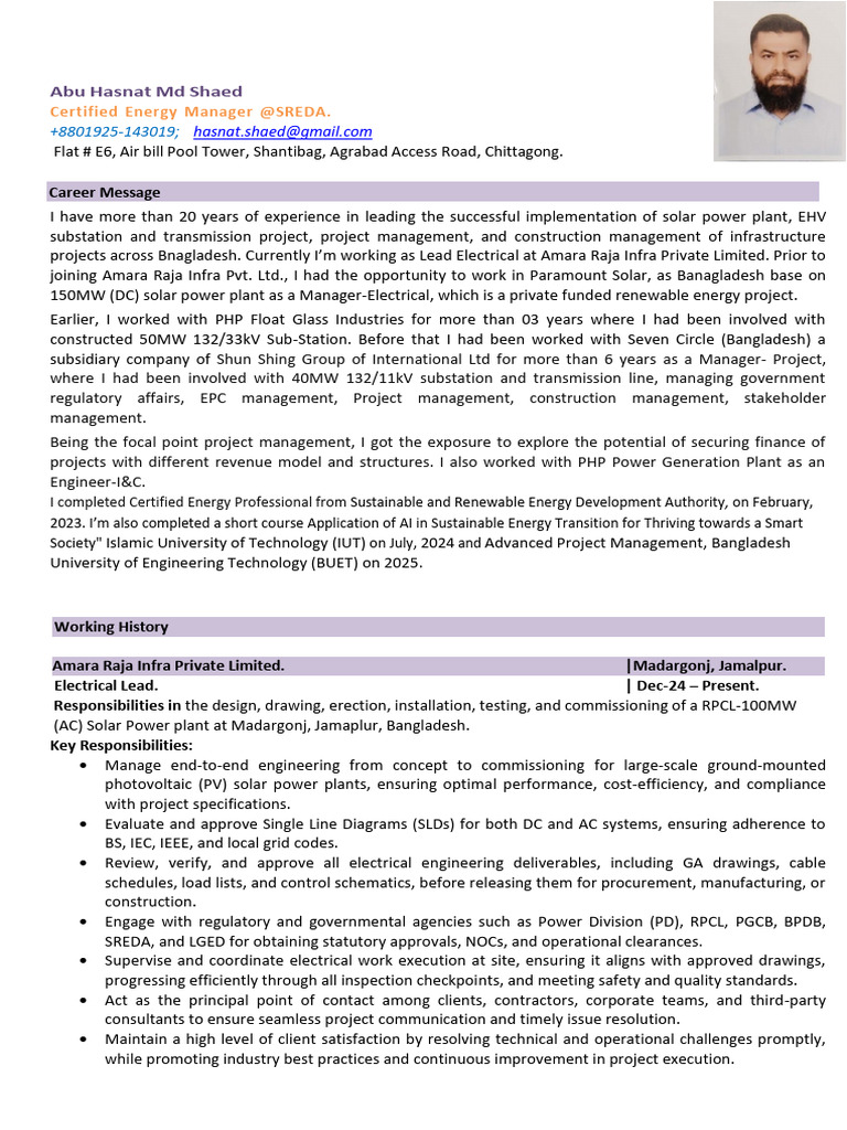 Solar Project Management Expert Profile | PDF | Electric Power ...