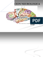 EXPLORACIÓN NEUROLÓGICA: EXAMEN DEL SISTEMA NERVIOSO CENTRAL