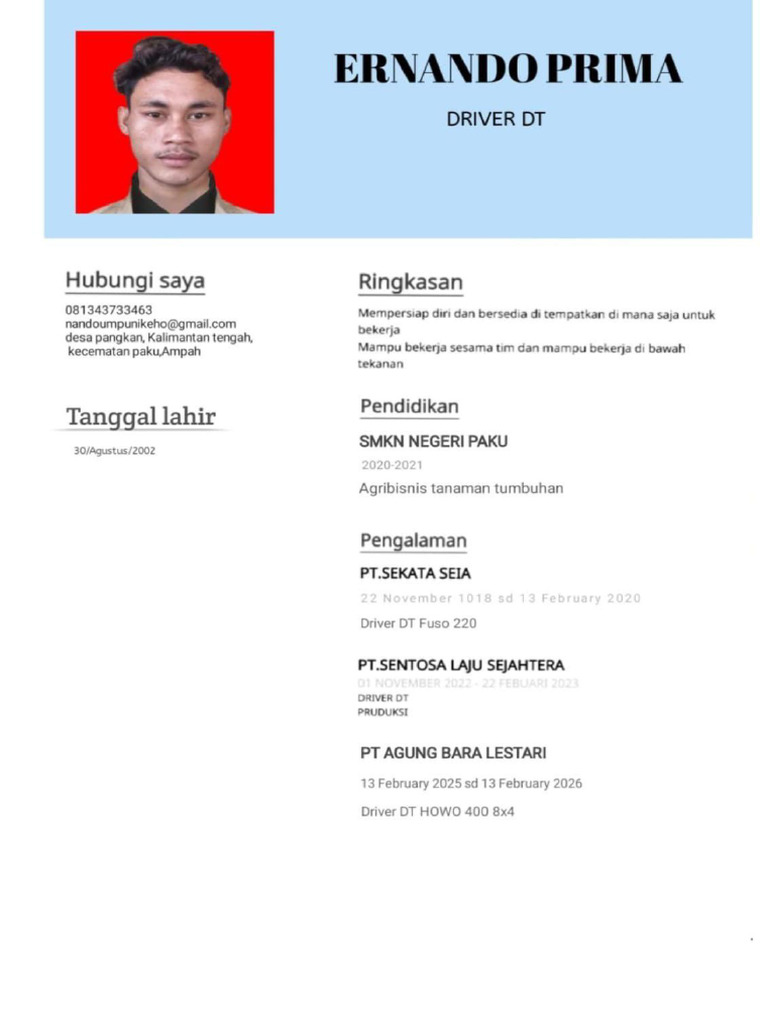 Cv Ernando Prima ? | PDF
