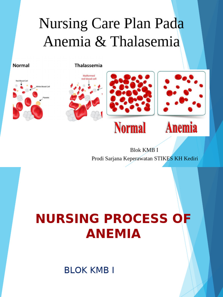 Kul - Nursing Care Plan Pada Thalasemia & Anemia | PDF