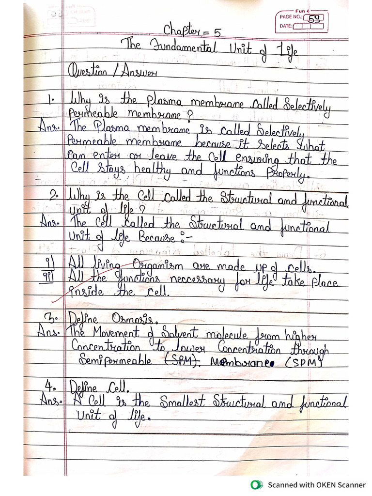 Class 9th Science em Chapter 5 Cell | PDF
