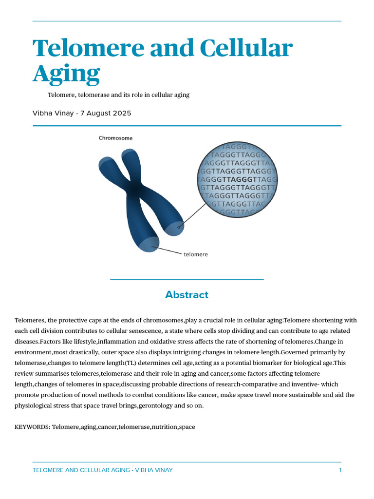 Telomeres' Role in Aging and Disease | PDF | Telomere | Senescence