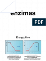 Bio 6 Enzimas PPT 1234440885520795 3