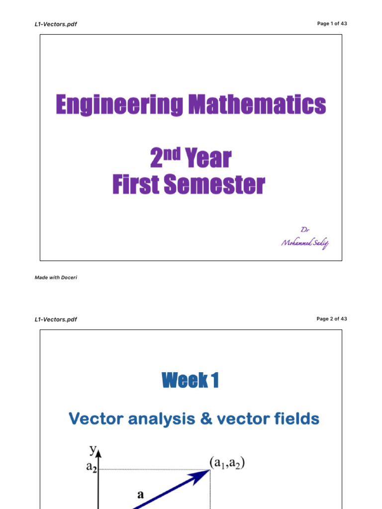 L1 Vectors: Comprehensive Guide | PDF