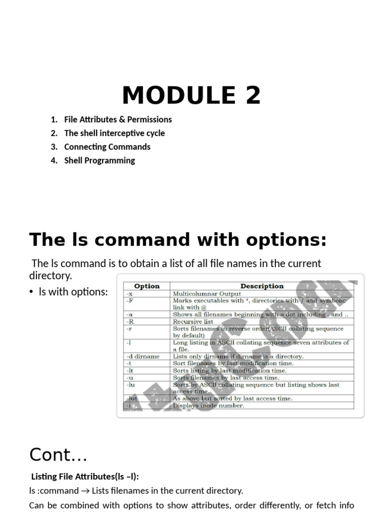 File Permissions and Shell Commands Guide | PDF | Parameter (Computer ...