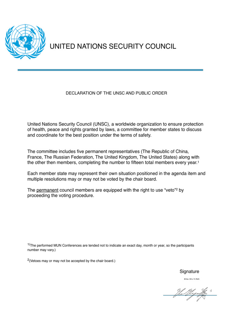 UNSC Declaration on Global Peace and Order | PDF