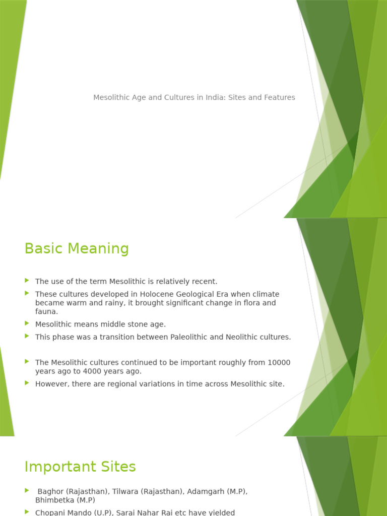 Mesolithic Cultures in India | PDF | Stone Age | Archaeology