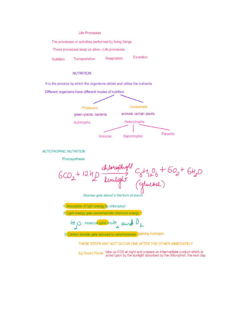 Life Processes | PDF
