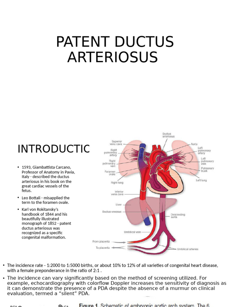 Patent Ductus Arteriosus | PDF | Aorta | Heart