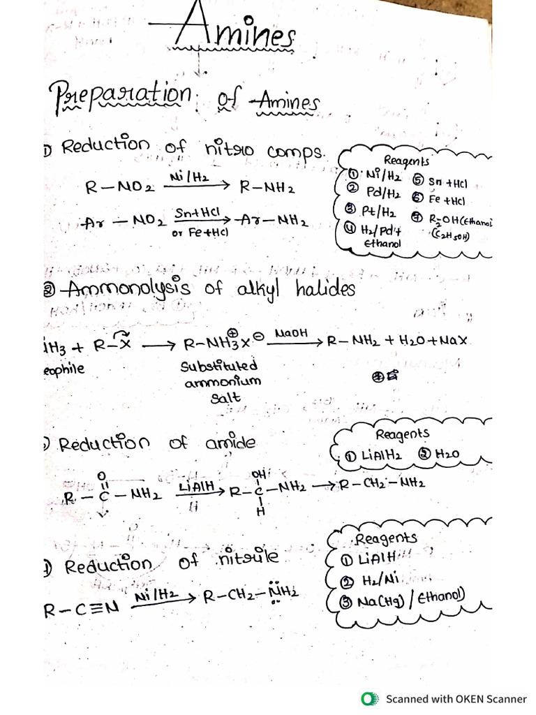 Amines Class Notes PDF | PDF