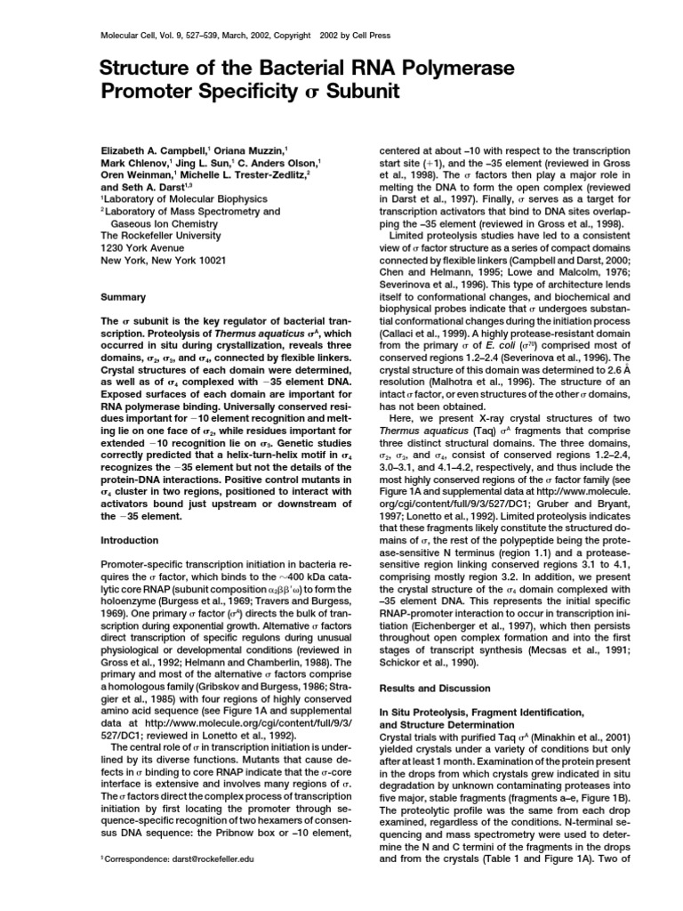 Bacterial RNA Polymerase Structure Insights | PDF | Dna | Promoter ...