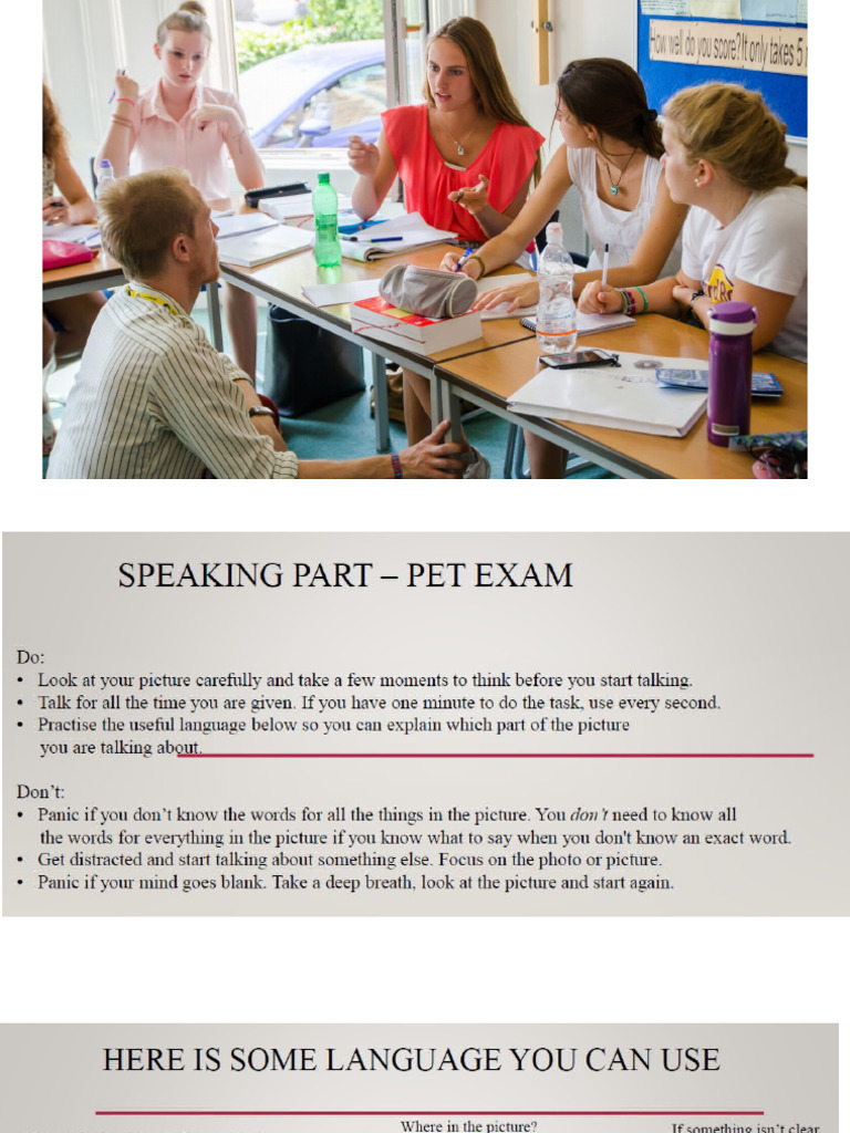 b1 Picture Description | PDF