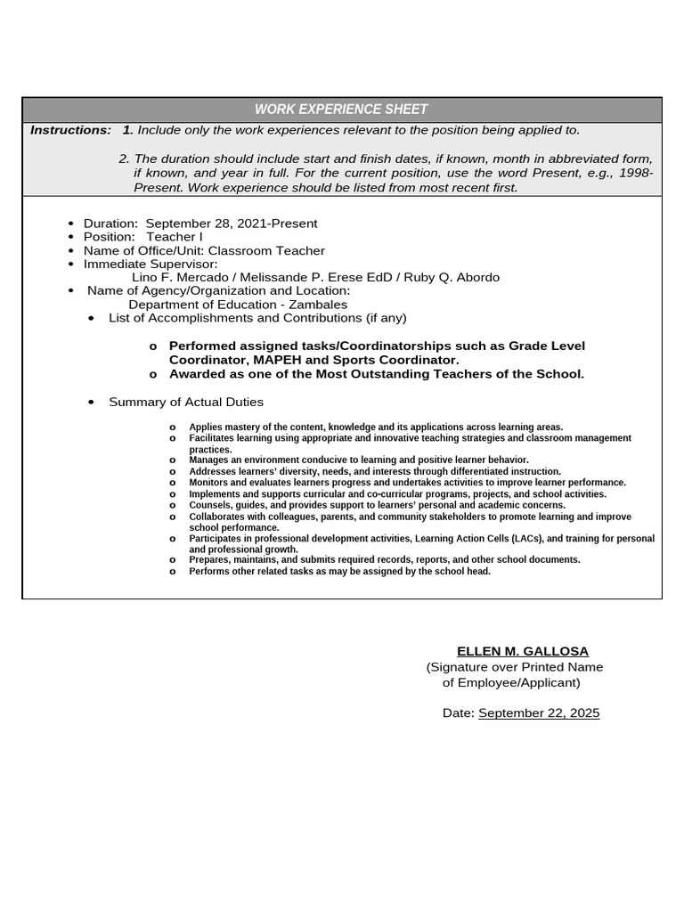 Teacher Work Experience Summary | PDF | Learning | Differentiated ...