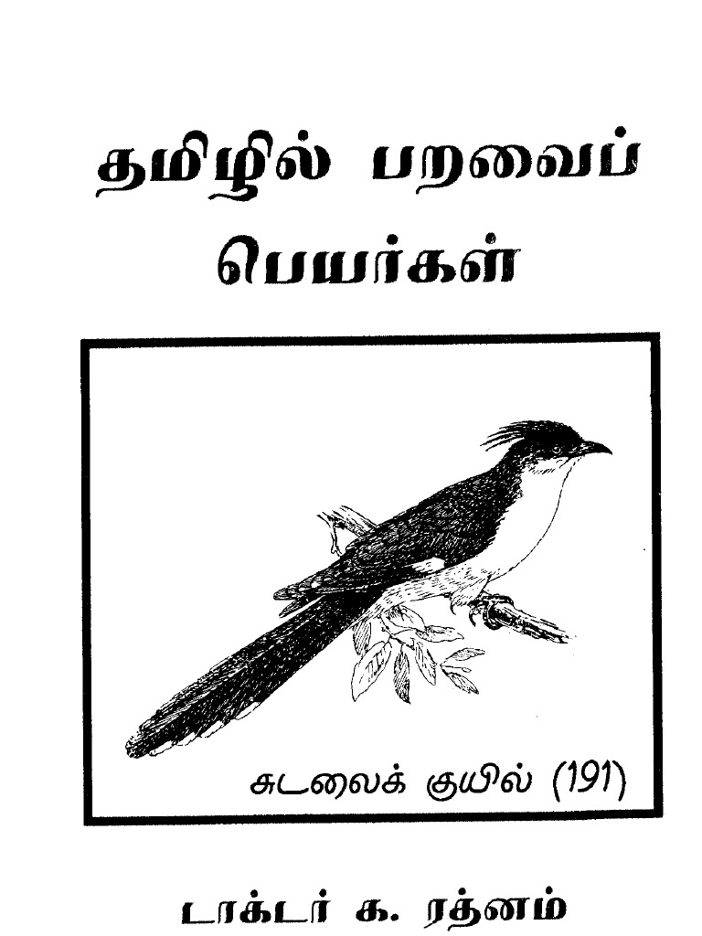 Tamil Birds
