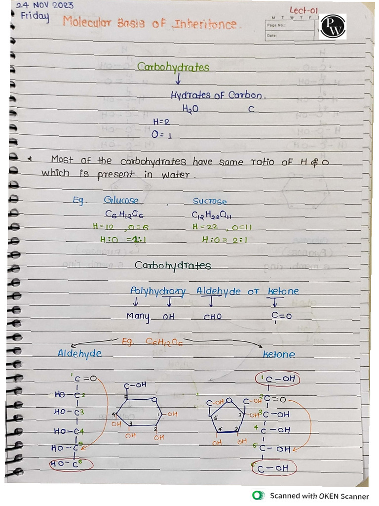 Molecular Basis of Inheritance Handwritten Notes Yakeen 2 0 2024 | PDF
