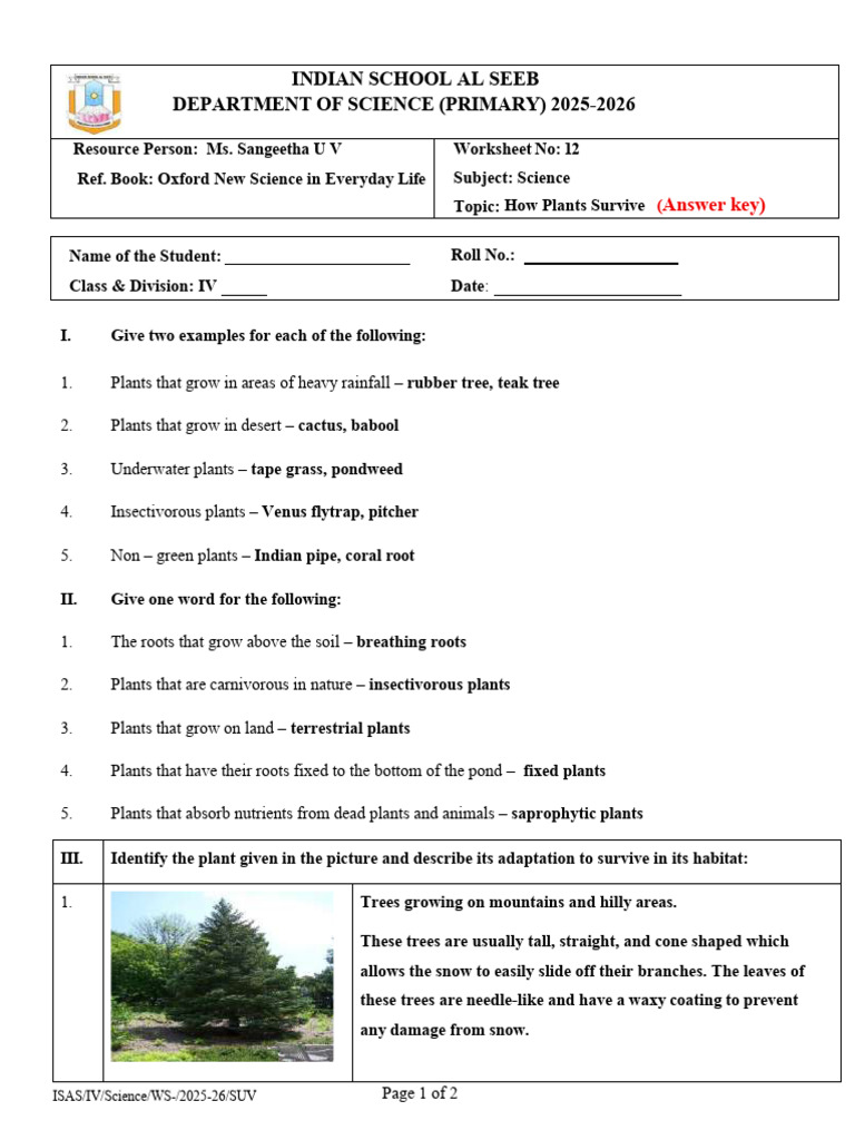 Class IV Science Ws 12 Ans How Plants Survive | PDF | Plants | Trees