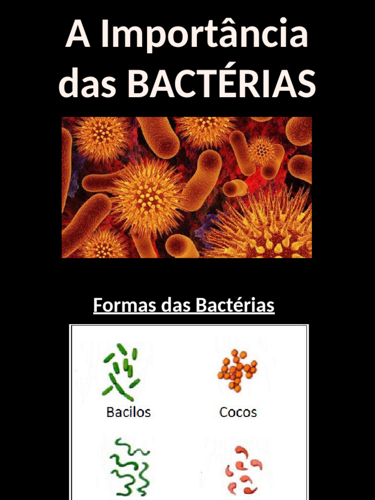 A Importância Das BACTÉRIAS | PDF | Bactérias | Mycobacterium tuberculosis