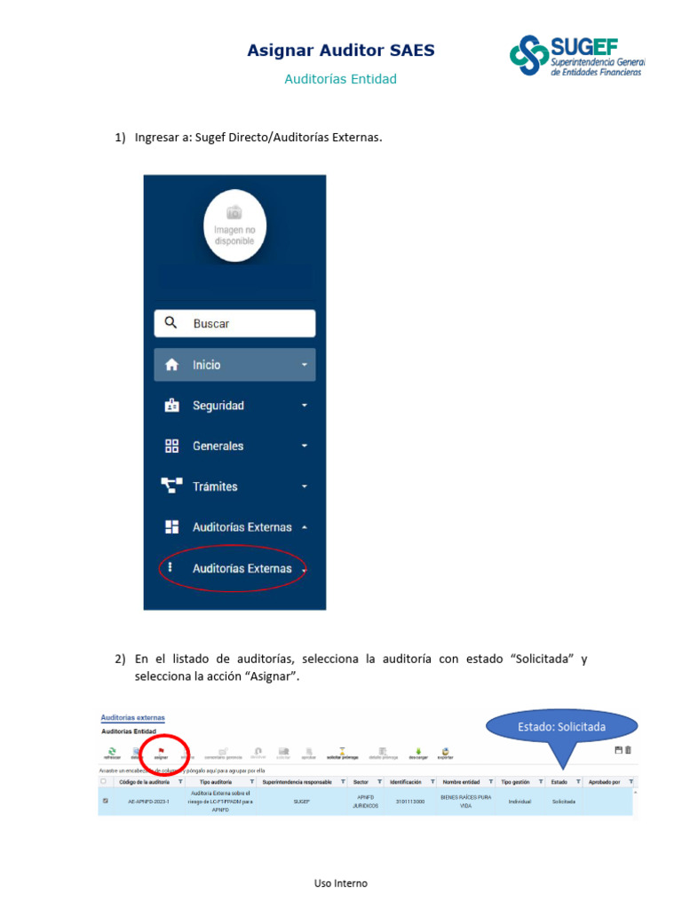 Cómo Asignar Auditor SAES Eficazmente | PDF