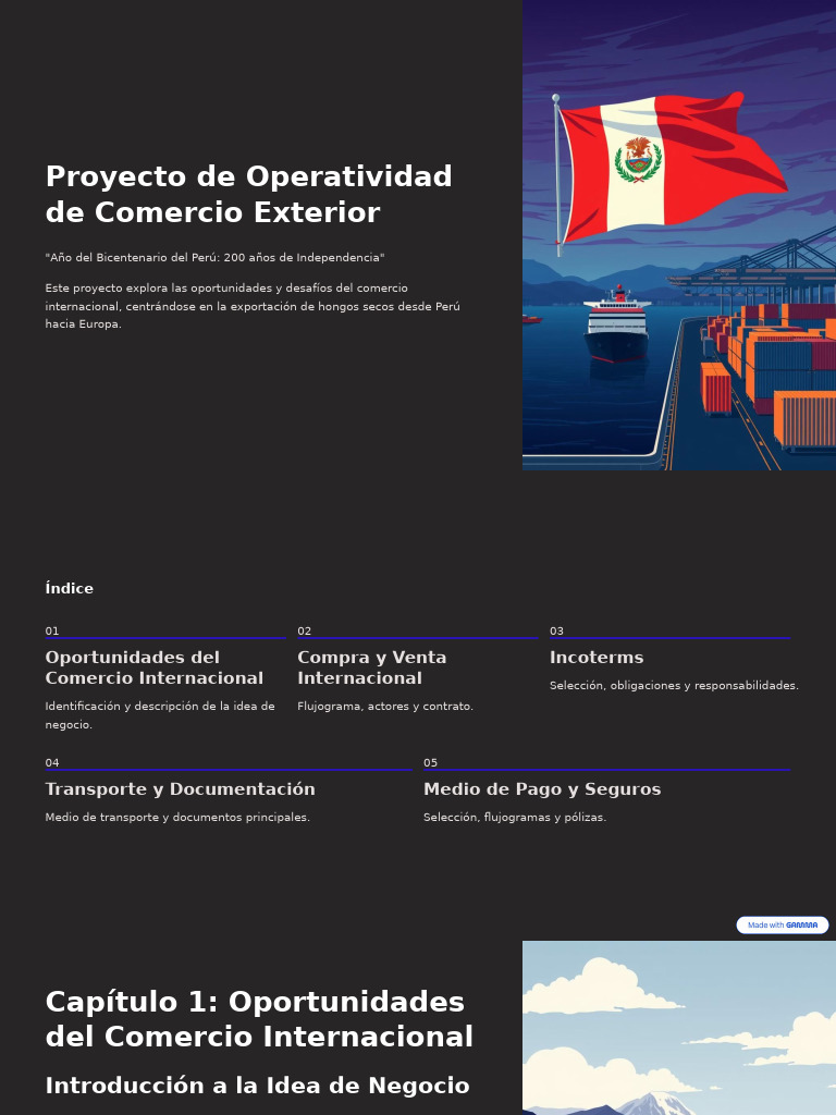 3proyecto de Operatividad de Comercio Exterior | PDF | Economias | Comercio