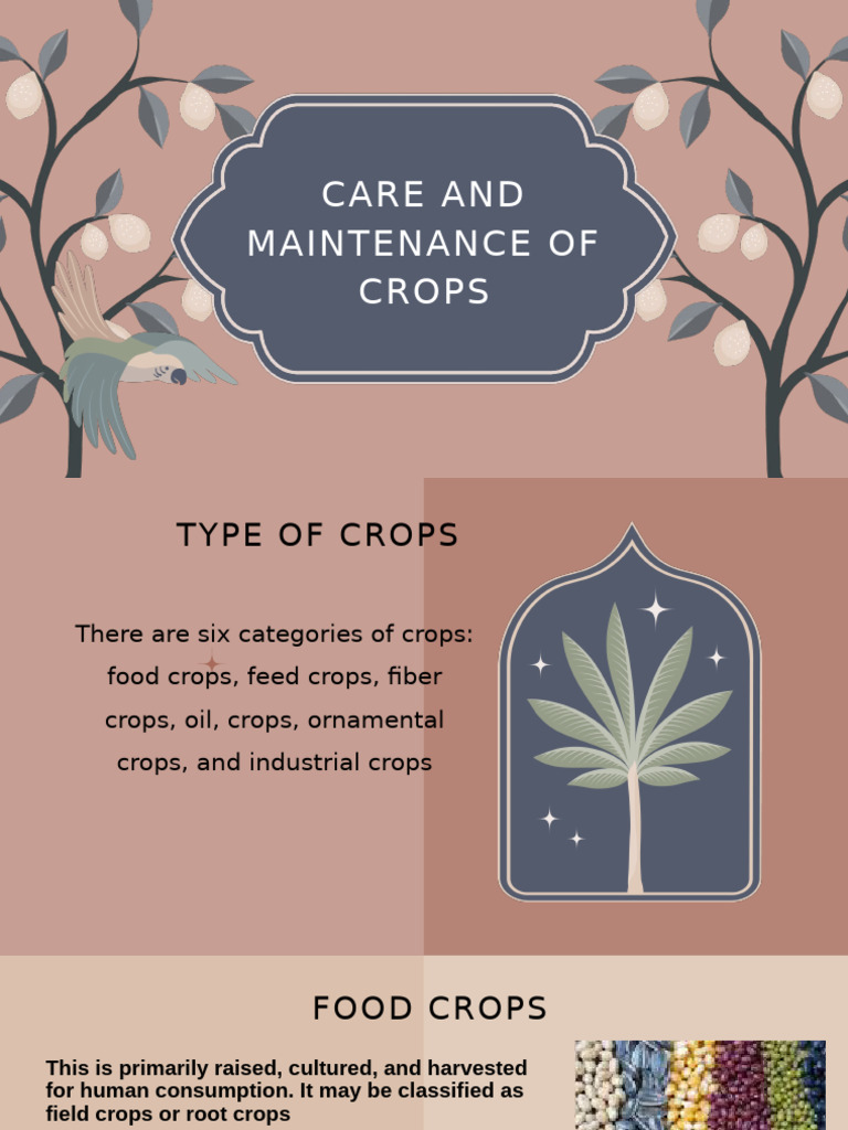 Essential Crop Care Practices Guide | PDF | Irrigation | Agriculture