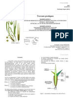 TP Bi514 Physiologie Vegetale (2005-2006)