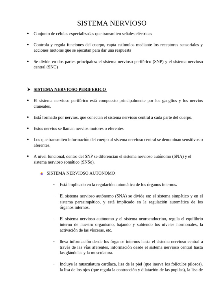 Estructura y Funciones del Sistema Nervioso | PDF | Sistema nervioso ...