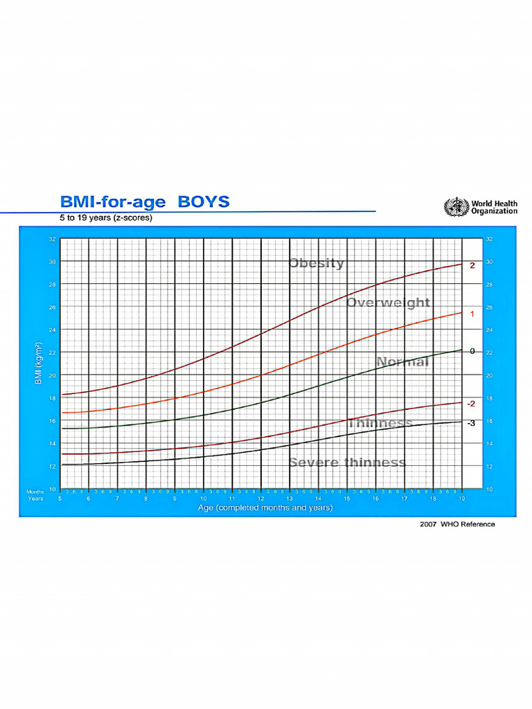 Normogram BBB | PDF