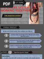 Easy Labeled Digestive System Diagram | PDF | Human Digestive System ...