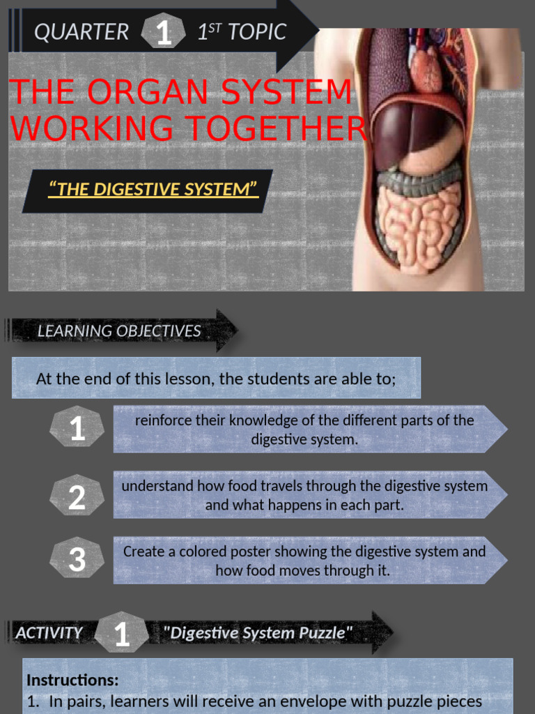 Understanding the Digestive System | PDF | Digestion | Gastrointestinal ...