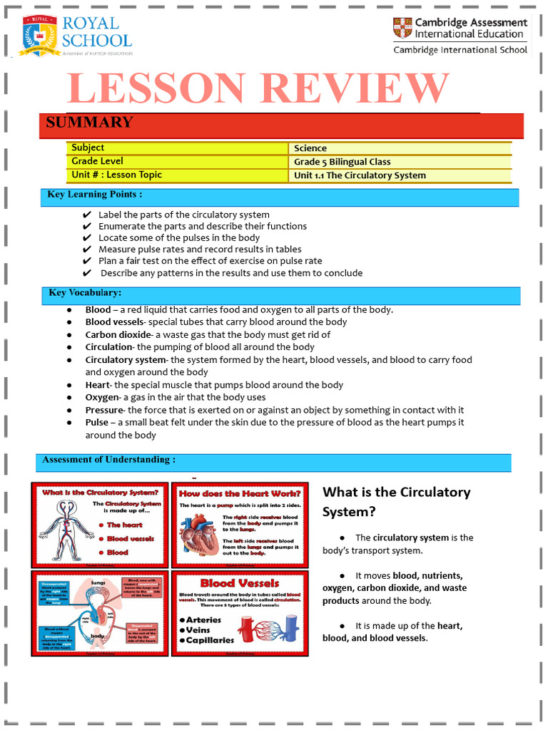 G5 BIL Science U1.1 Circulatory System | PDF | Blood | Circulatory System