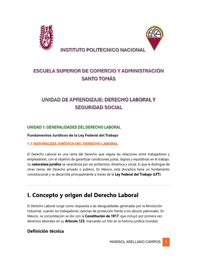 Fundamentos del Derecho Laboral en México | PDF | Derecho laboral | Salario