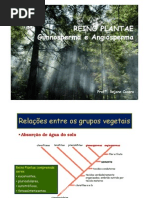 3ª_série_EM_Aula_1_-_Reino_Plantae_-_Gimnospermas_e_Angiospermas