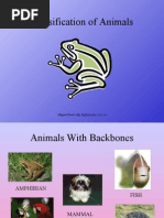 Animal Classification Charts | PDF | Invertebrate | Egg