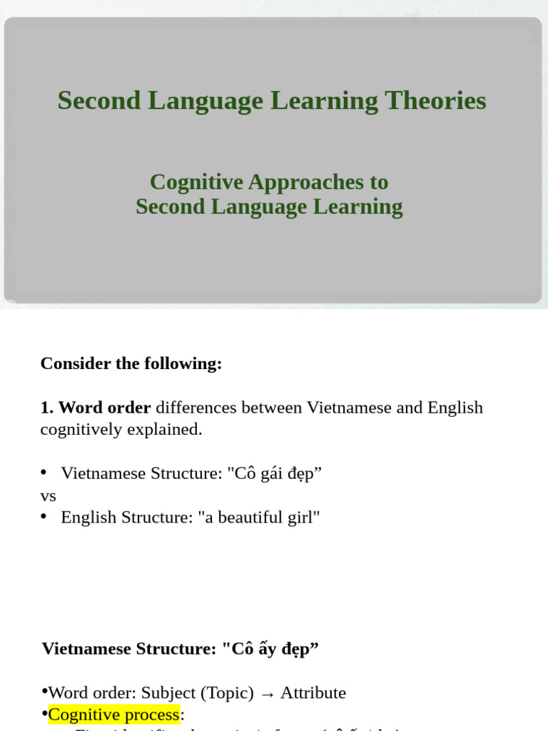 Cognitive Approaches in Second Language Learning | PDF | Second ...