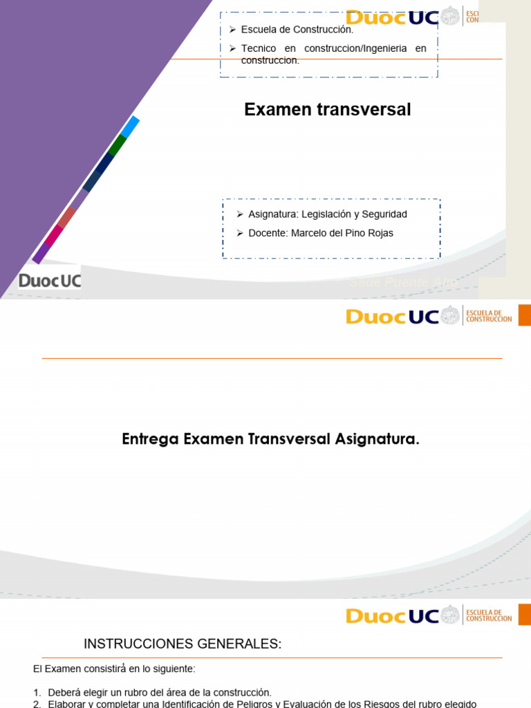 Examen Transversal: Sede Puente Alto | PDF