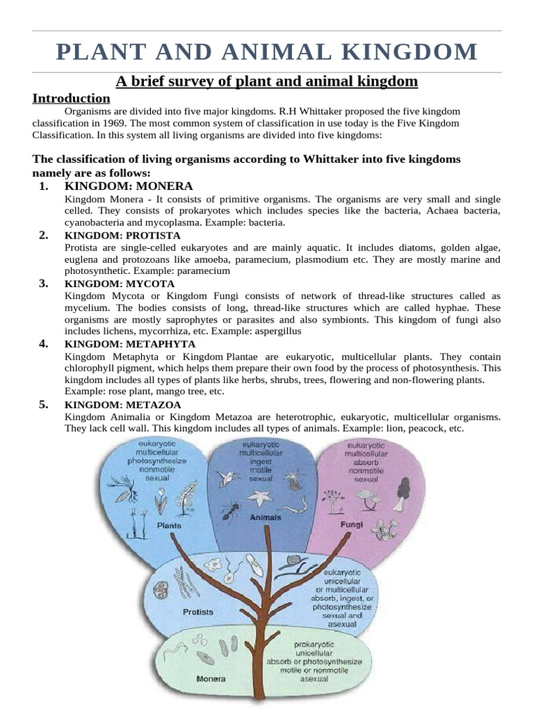 Plant and Animal Kingdom | PDF | Biology | Biological Evolution